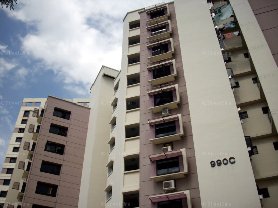 Blk 990C Jurong West Street 93 (Jurong West), HDB 2 Rooms #416702